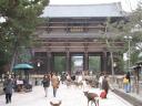 Nara Todaiji Gate